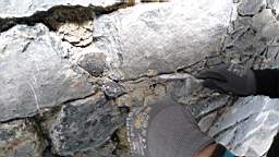 acastle
                          112095.jpg